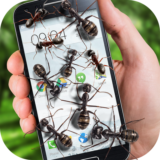 Ants On Screen Funny Joke